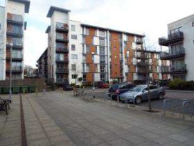 2 Bedroom Flat